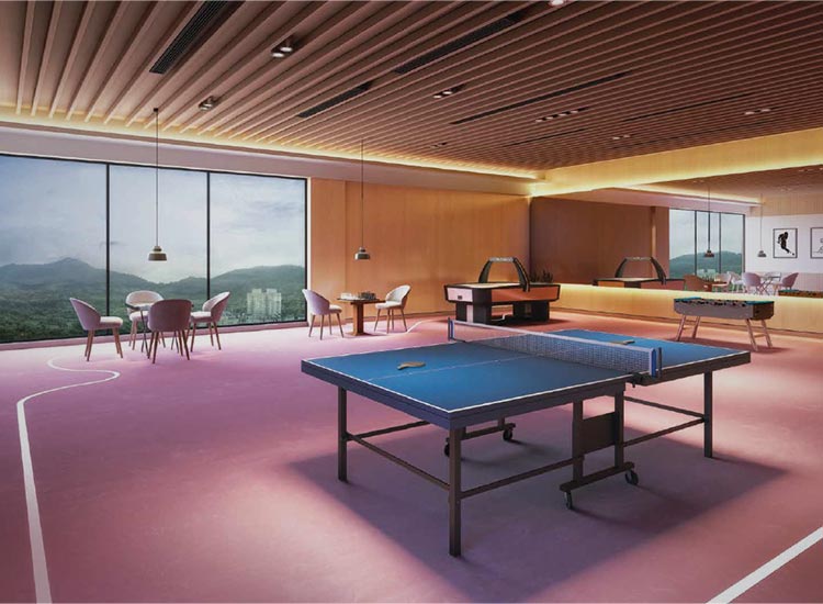 Indoor Games Zone